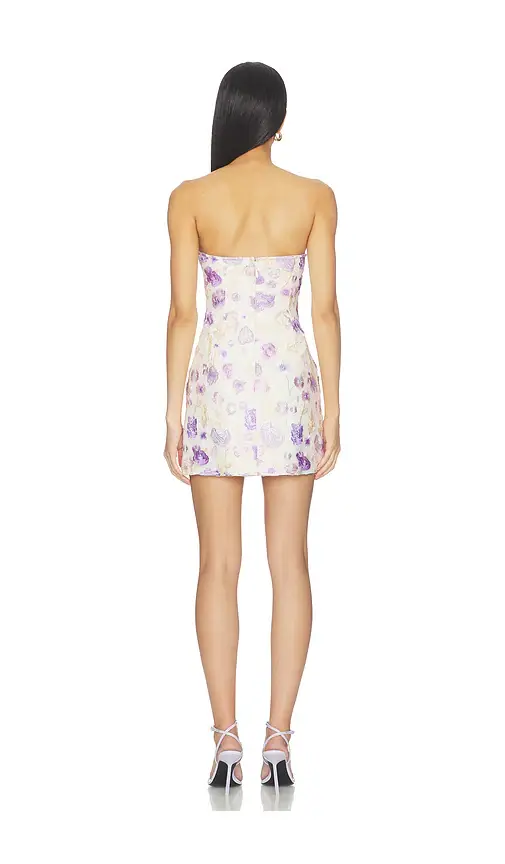 Lovers and Friends Ellis Mini Dress | Thumbnail 3