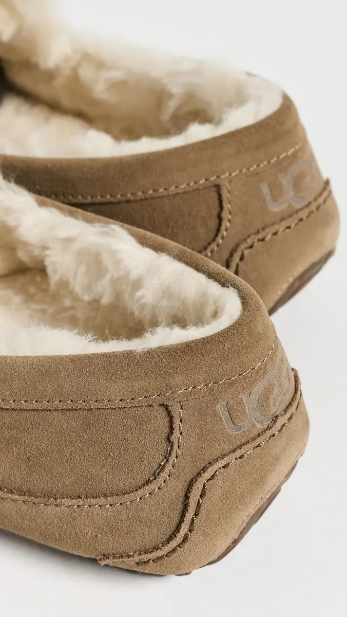 UGG Ascot Slippers | Thumbnail 3 UGG Ascot Slippers | Thumbnail 3
