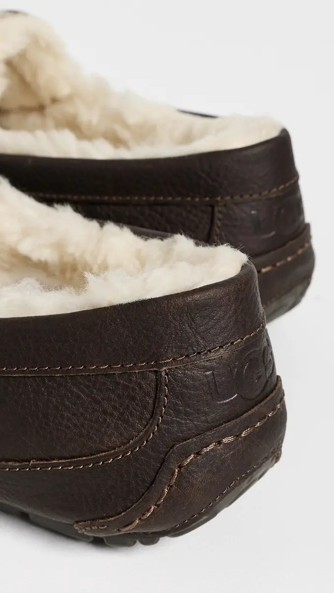 UGG Ascot Slippers | Thumbnail 3 UGG Ascot Slippers | Thumbnail 3
