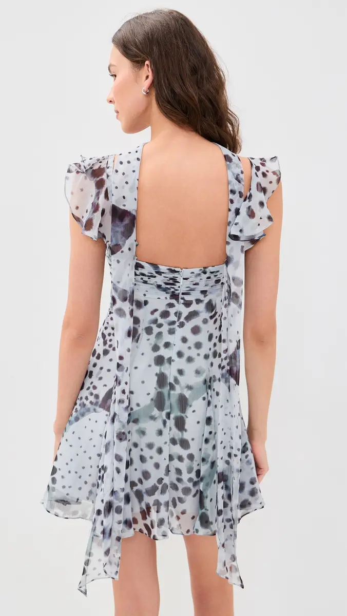 Amur Reverie Printed Mini Dress | Thumbnail 3