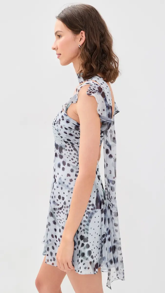 Amur Reverie Printed Mini Dress | Thumbnail 4