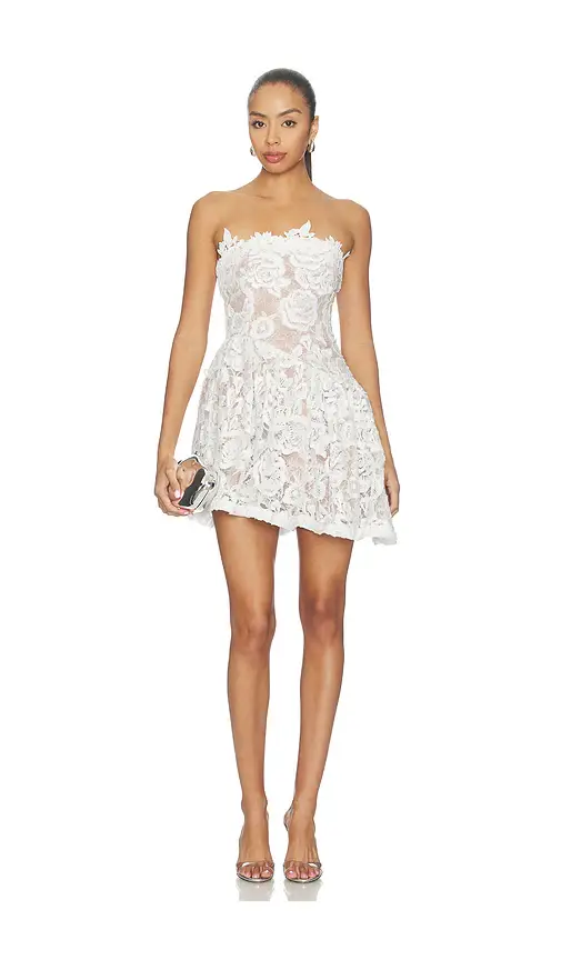 Lovers and Friends Clarissa Mini Dress