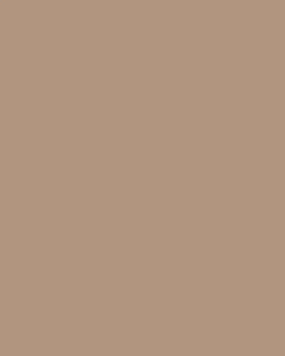 BARTON PERREIRA Chevalier Brown Titanium Aviator Sunglasses | Thumbnail 4