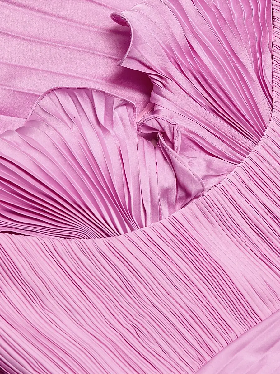 Amur Women's Kaylani Pleated Gown | Thumbnail 7