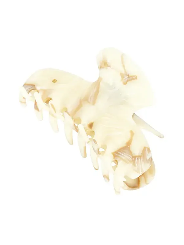 Fan Shell Hair Claw