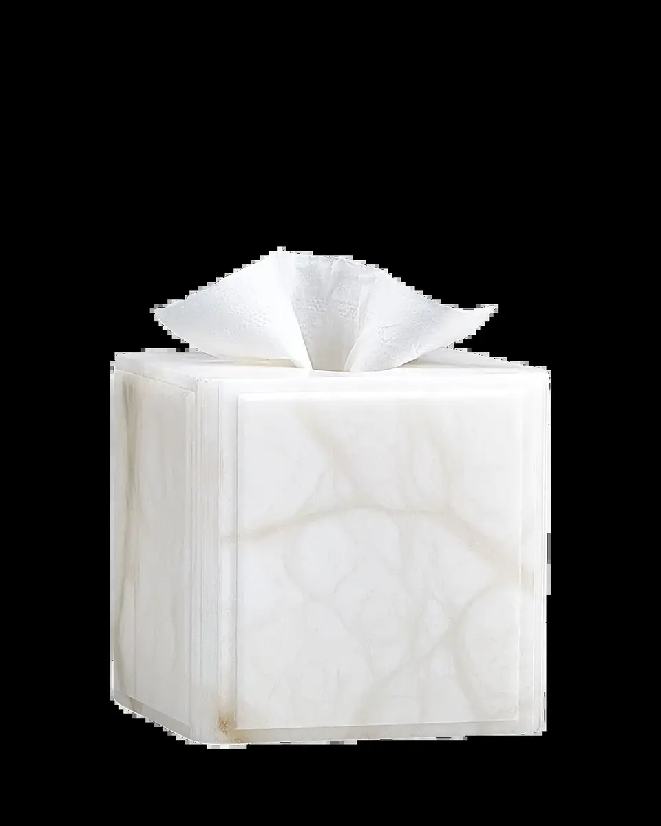Labrazel Claudia Tissue Box Cover | Thumbnail 2