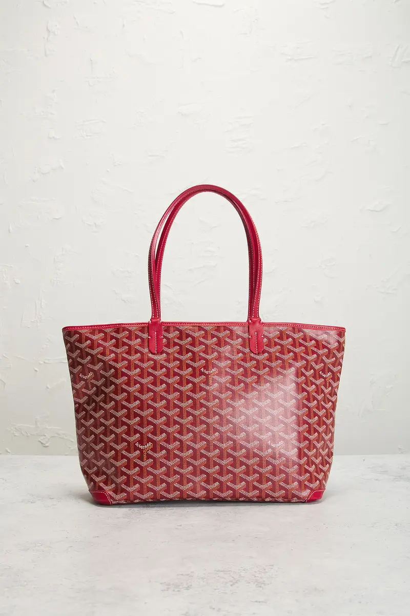 goyard Saint Louis PM Tote Bag | Thumbnail 2 goyard Saint Louis PM Tote Bag | Thumbnail 2