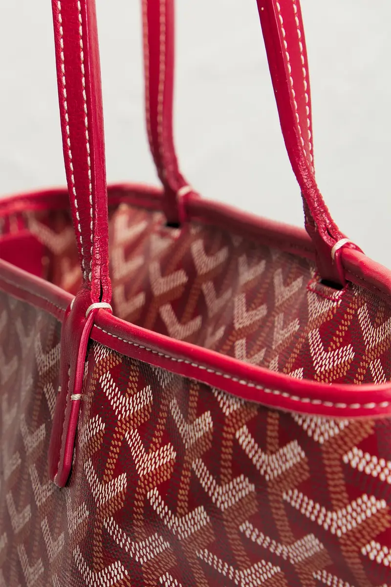 goyard Saint Louis PM Tote Bag | Thumbnail 7 goyard Saint Louis PM Tote Bag | Thumbnail 7