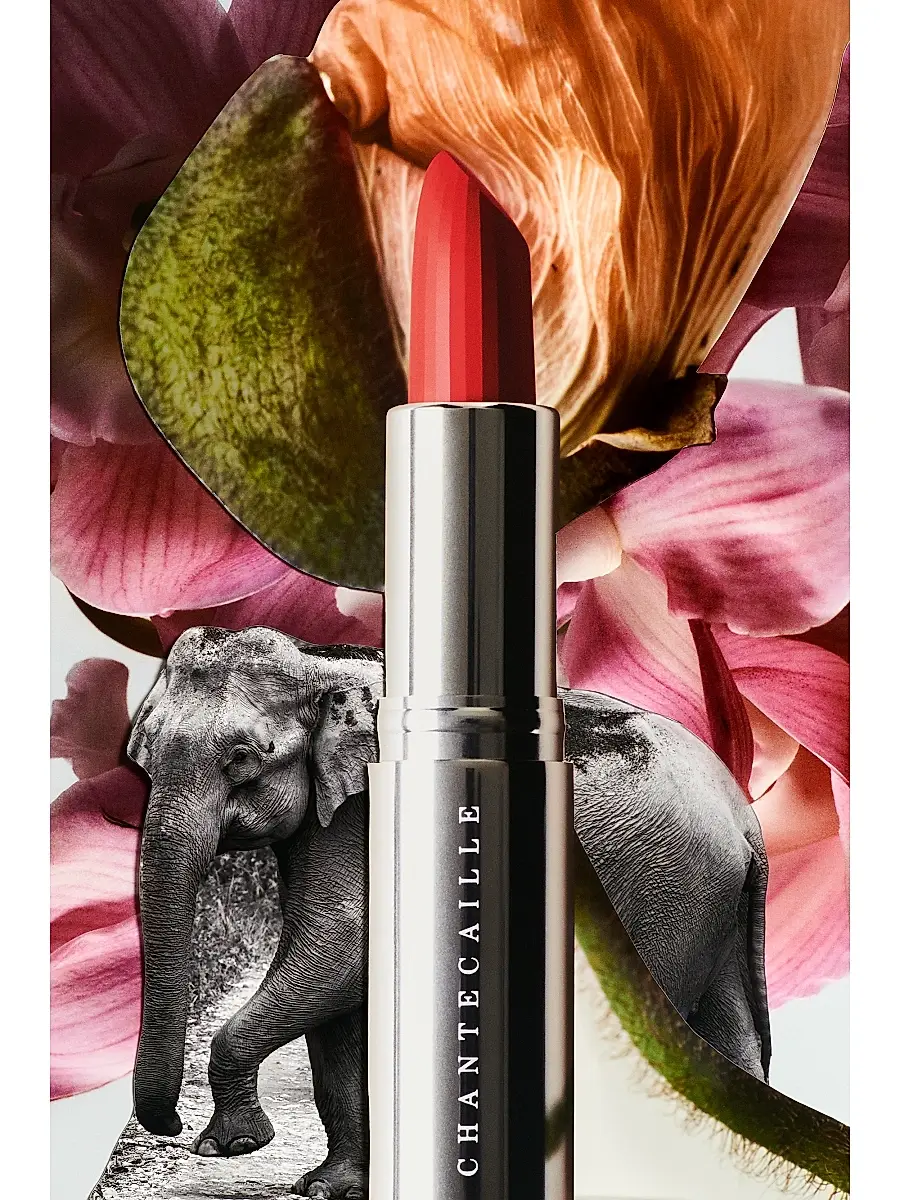 CHANTECAILLE Women's Wild Tulip Lip Crème | Thumbnail 5 CHANTECAILLE Women's Wild Tulip Lip Crème | Thumbnail 5