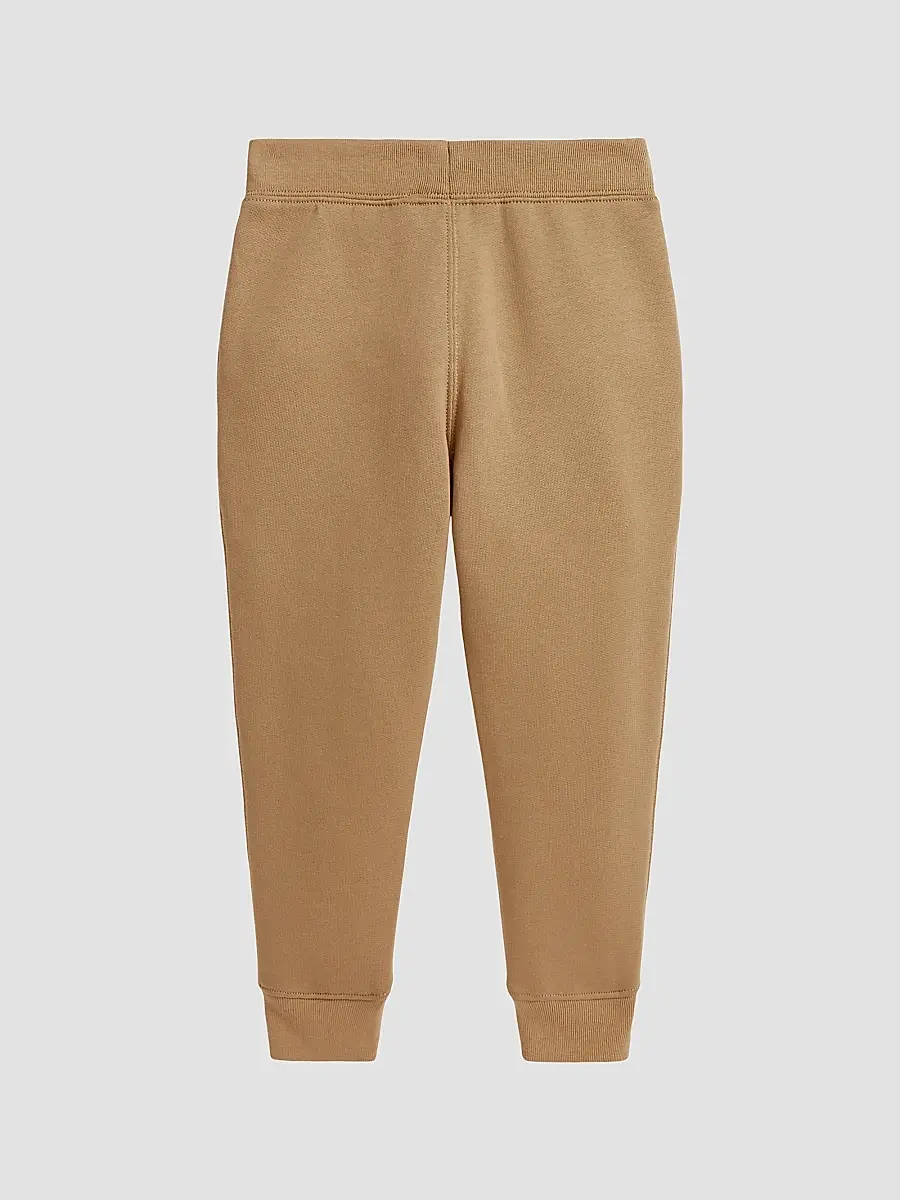 Polo Ralph Lauren Boy's Little Boy's & Boy's Logo Joggers | Thumbnail 2