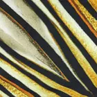 Roberto Cavalli Throw with Ray Of Gold Print | Thumbnail 2 Roberto Cavalli Throw with Ray Of Gold Print | Thumbnail 2
