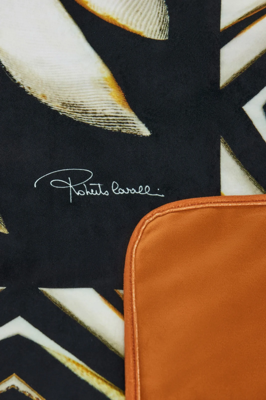 Roberto Cavalli Throw with Ray Of Gold Print