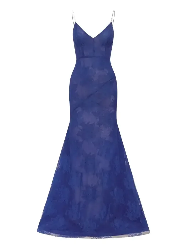 Alex Perry Plunging Sheer Lace Bikini Gown