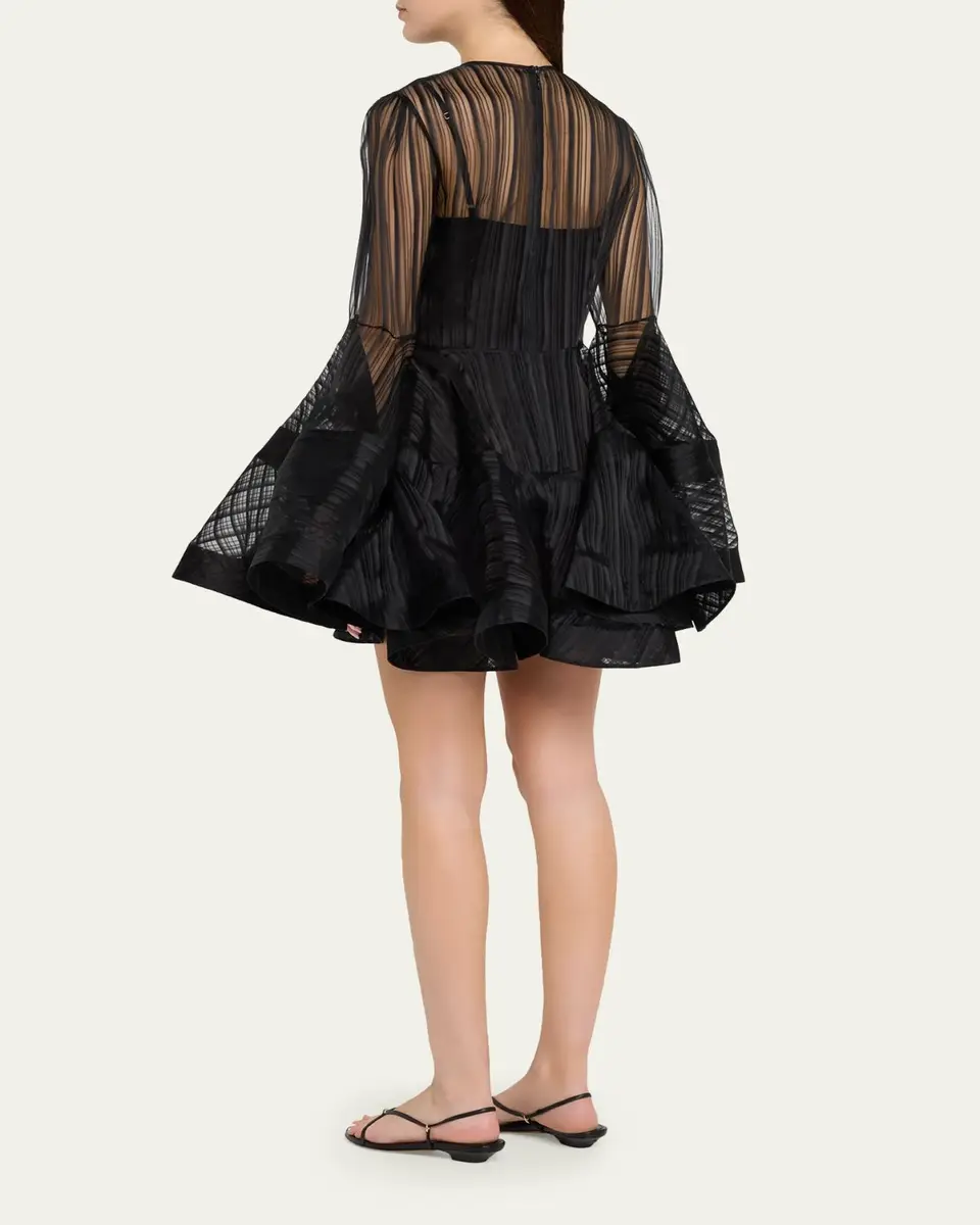 Zimmermann Valiant Lantern Mini Dress | Thumbnail 3