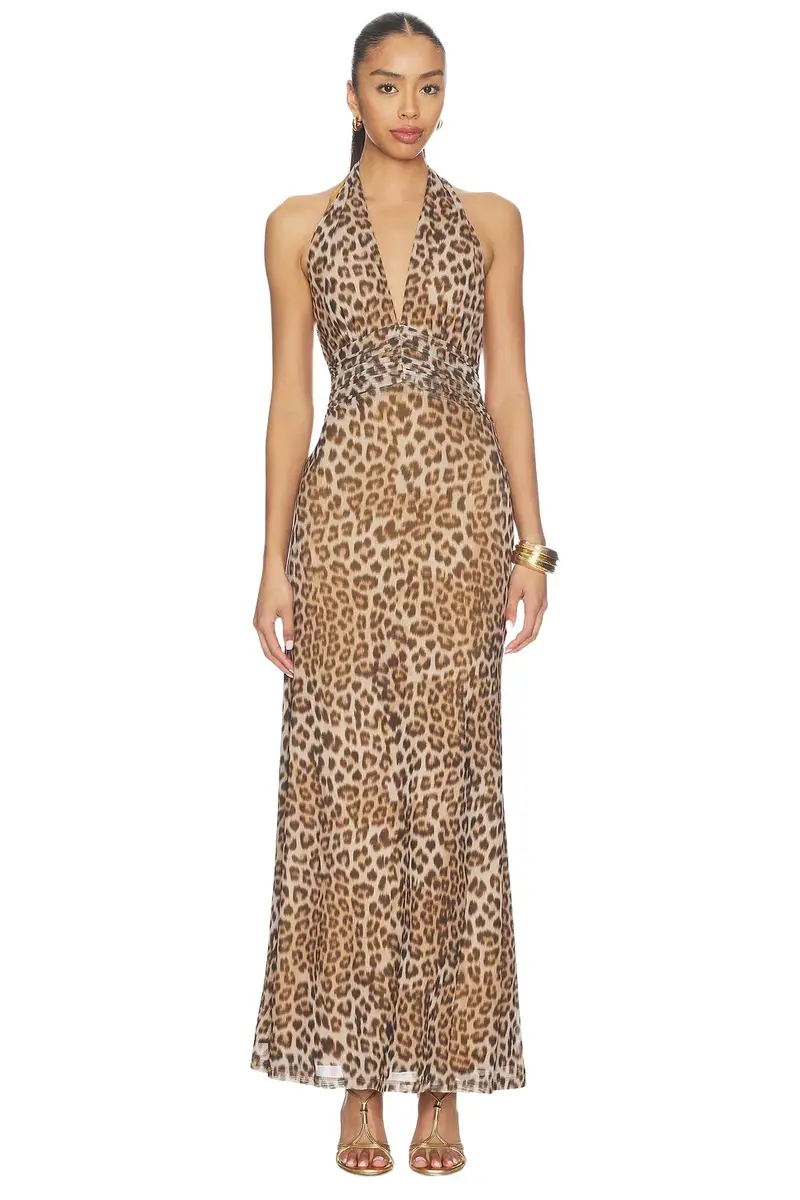 Elera Printed Mesh Maxi Dress