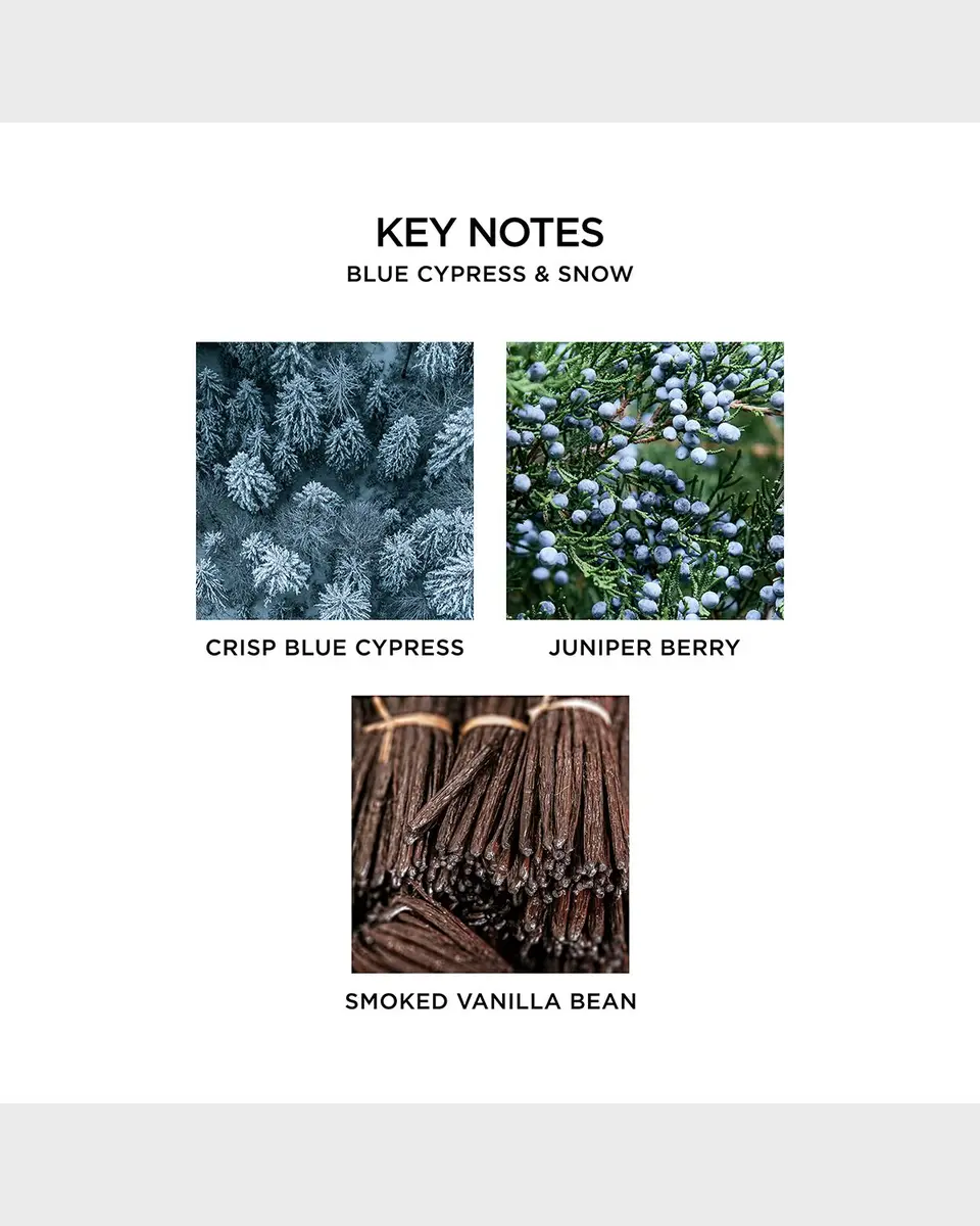 NEST New York Blue Cypress & Snow Classic Candle, 8 oz. | Thumbnail 5 NEST New York Blue Cypress & Snow Classic Candle, 8 oz. | Thumbnail 5