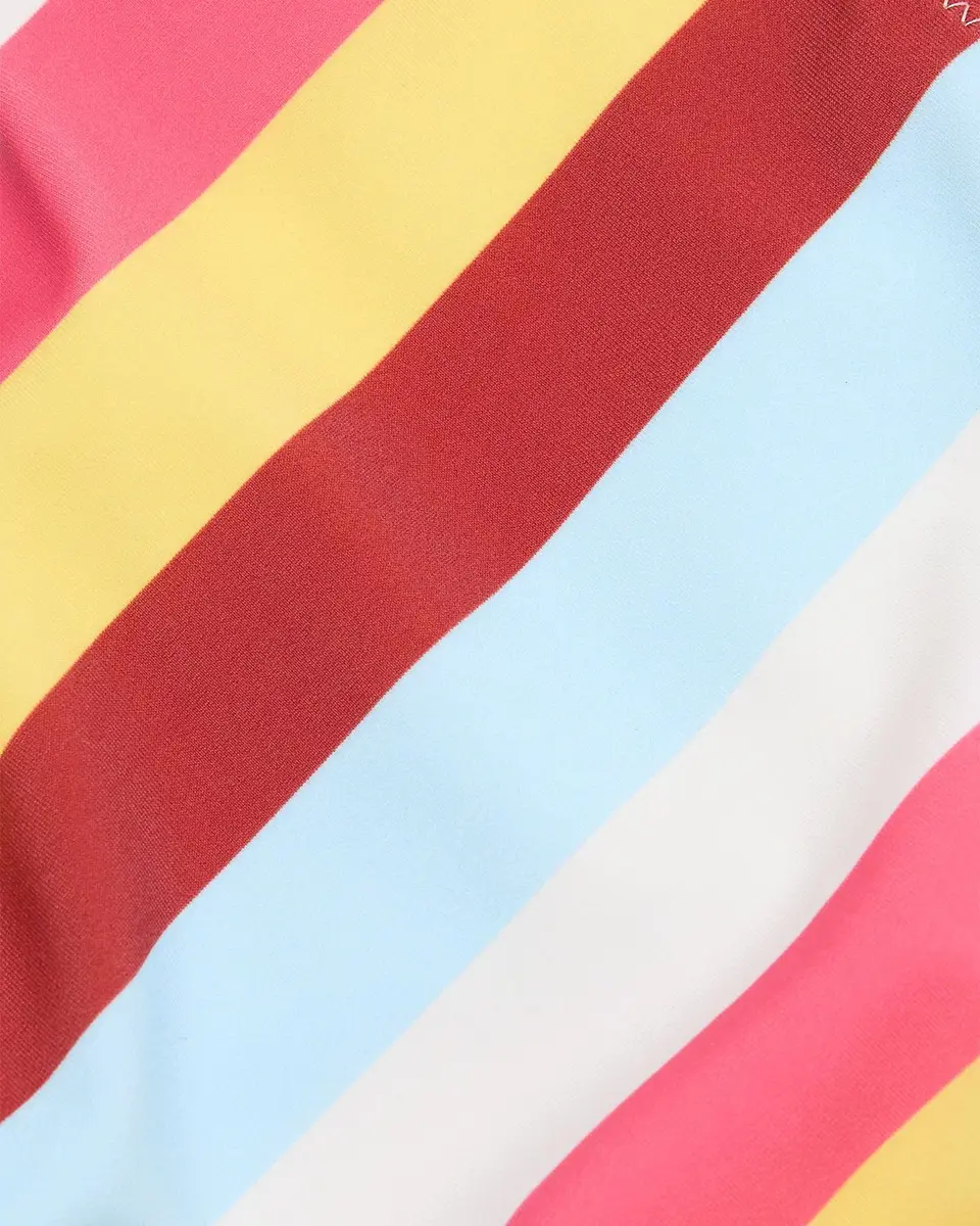 Solid & Striped The Rachel Striped Bikini Bottom | Thumbnail 6