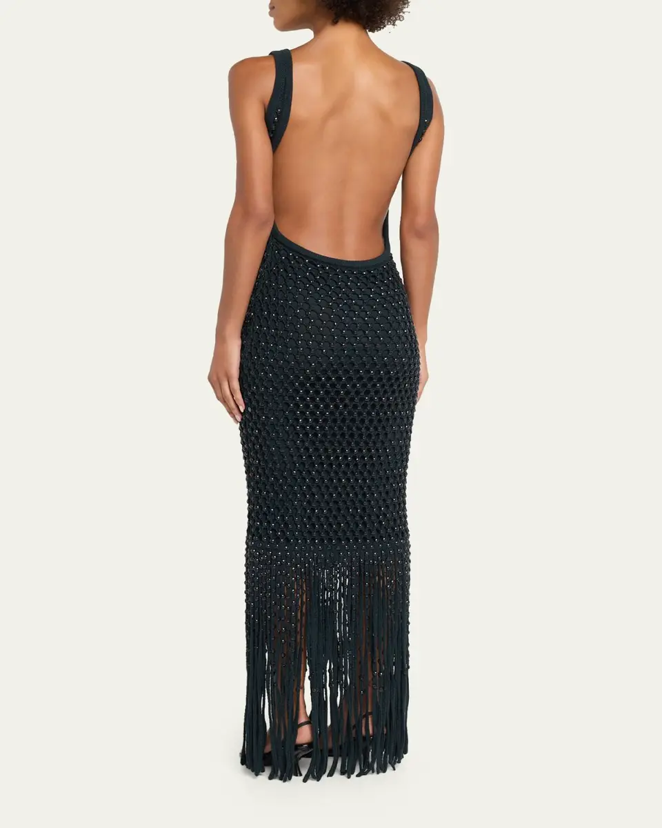 Diotima Gala Embellished Net Fringe Backless Gown | Thumbnail 3