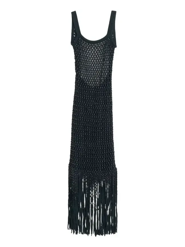 Gala Embellished Net Fringe Backless Gown