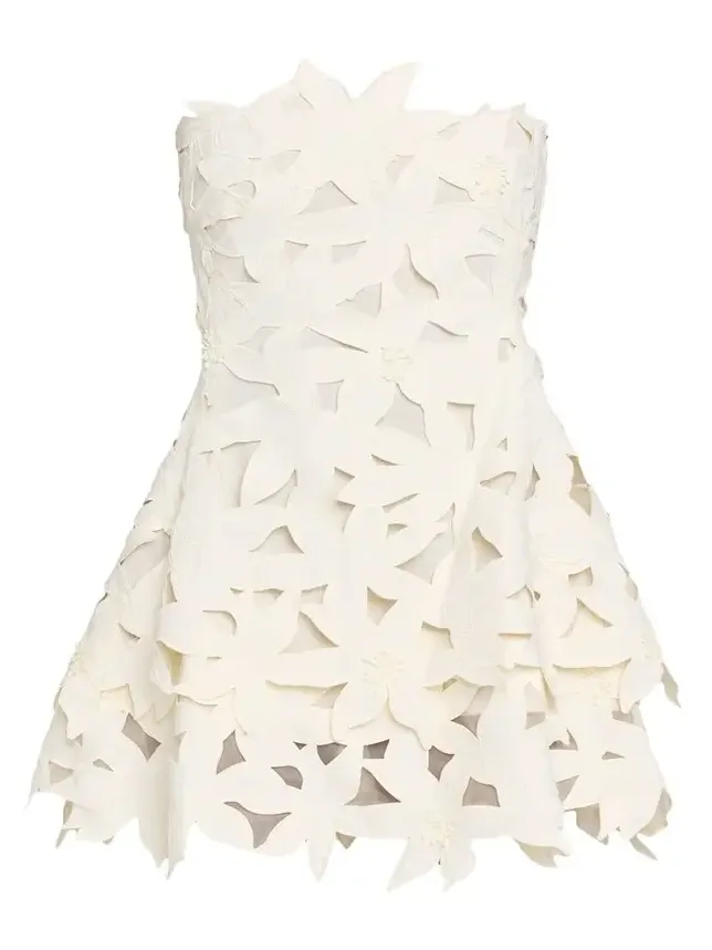 Miri Floral Embroidered Mini Dress