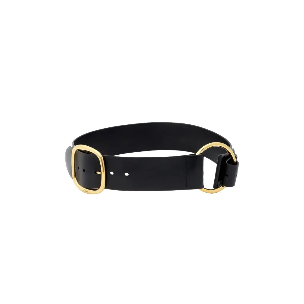 Chloé The Chloé Anita belt | Image 1 Chloé The Chloé Anita belt | Image 1