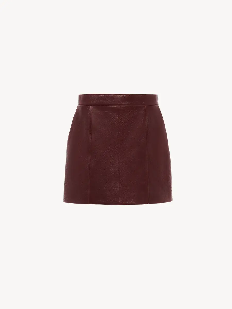 Chloé Straight mini skirt in leather | Thumbnail 2