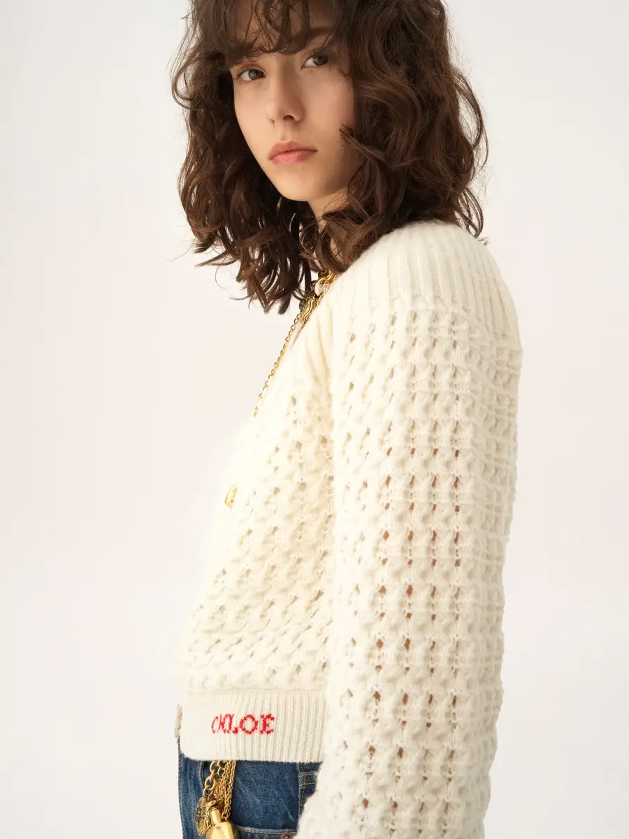 Chloé Round-neck cardigan in a wool & cashmere knit | Thumbnail 6