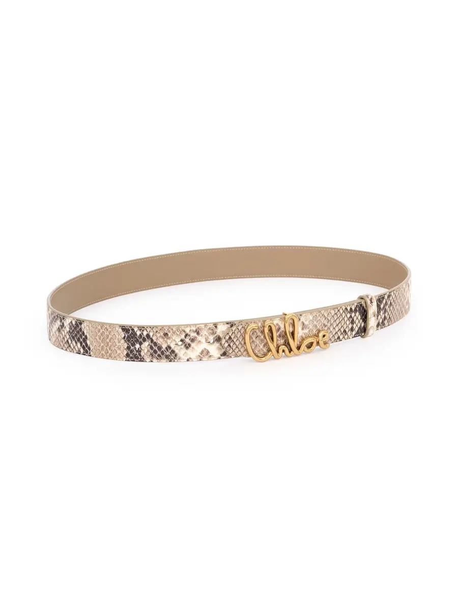 Chloé The Chloé Iconic belt | Thumbnail 4