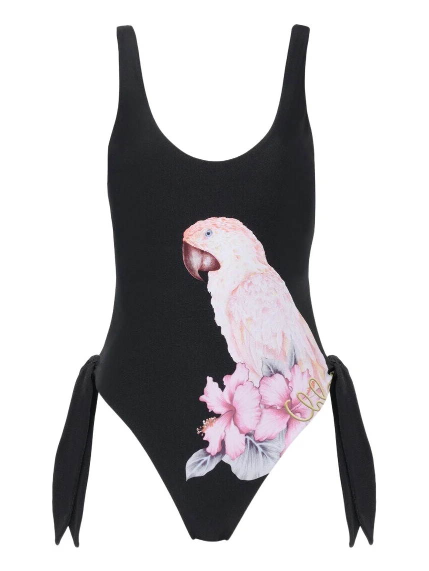 Chloé Cut-out one-piece swimsuit