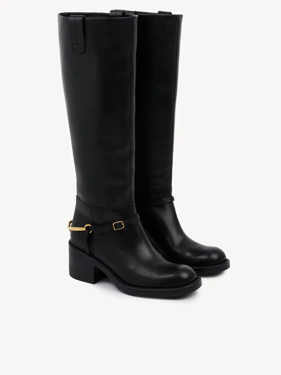 Chloé Dakota boot | Thumbnail 4 Chloé Dakota boot | Thumbnail 4