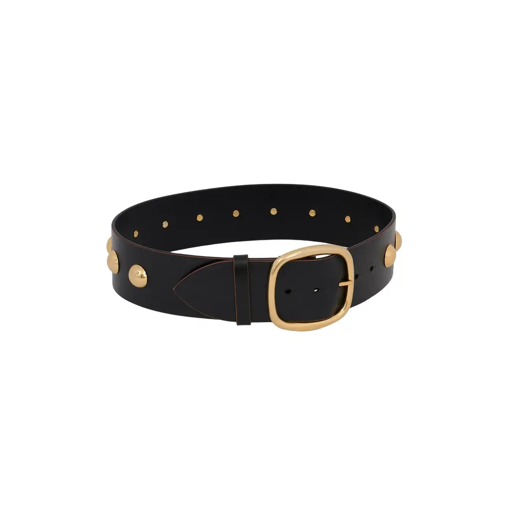 Chloé The Chloé Midnight belt | Image 1 Chloé The Chloé Midnight belt | Image 1
