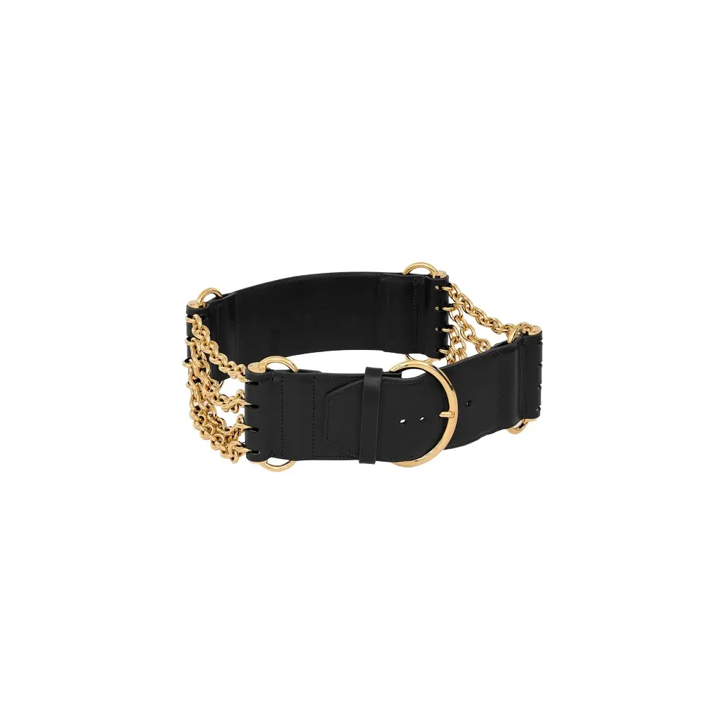 Chloé The Chloé Camera Chain belt | Image 1 Chloé The Chloé Camera Chain belt | Image 1