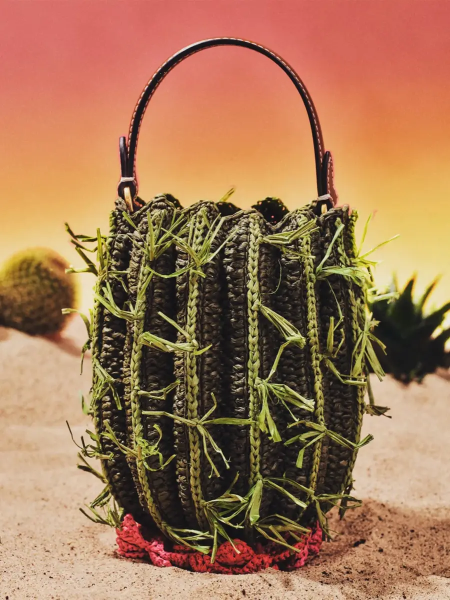 Anya Hindmarch Raffia Cactus Crossbody Bag | Thumbnail 2 Anya Hindmarch Raffia Cactus Crossbody Bag | Thumbnail 2