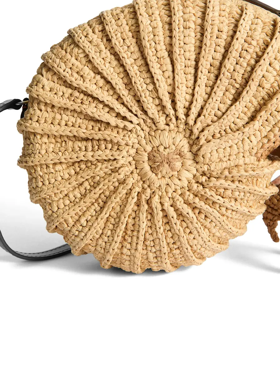 Anya Hindmarch Raffia Hermit Crab Crossbody Bag | Thumbnail 4