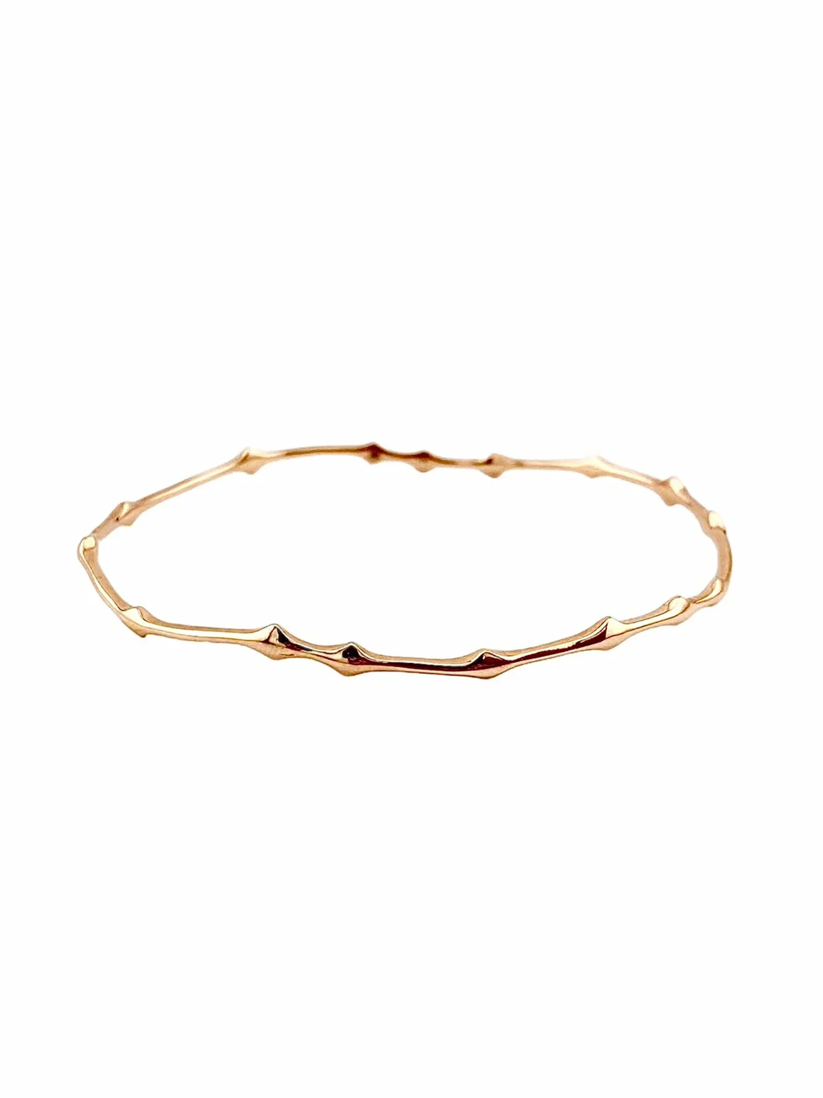 REIGN LA Rani Thorn Bangle