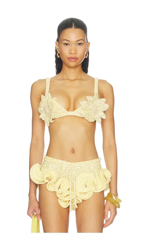 PatBo Iara Crochet Embroidered Bra Top | Image 1 PatBo Iara Crochet Embroidered Bra Top | Image 1
