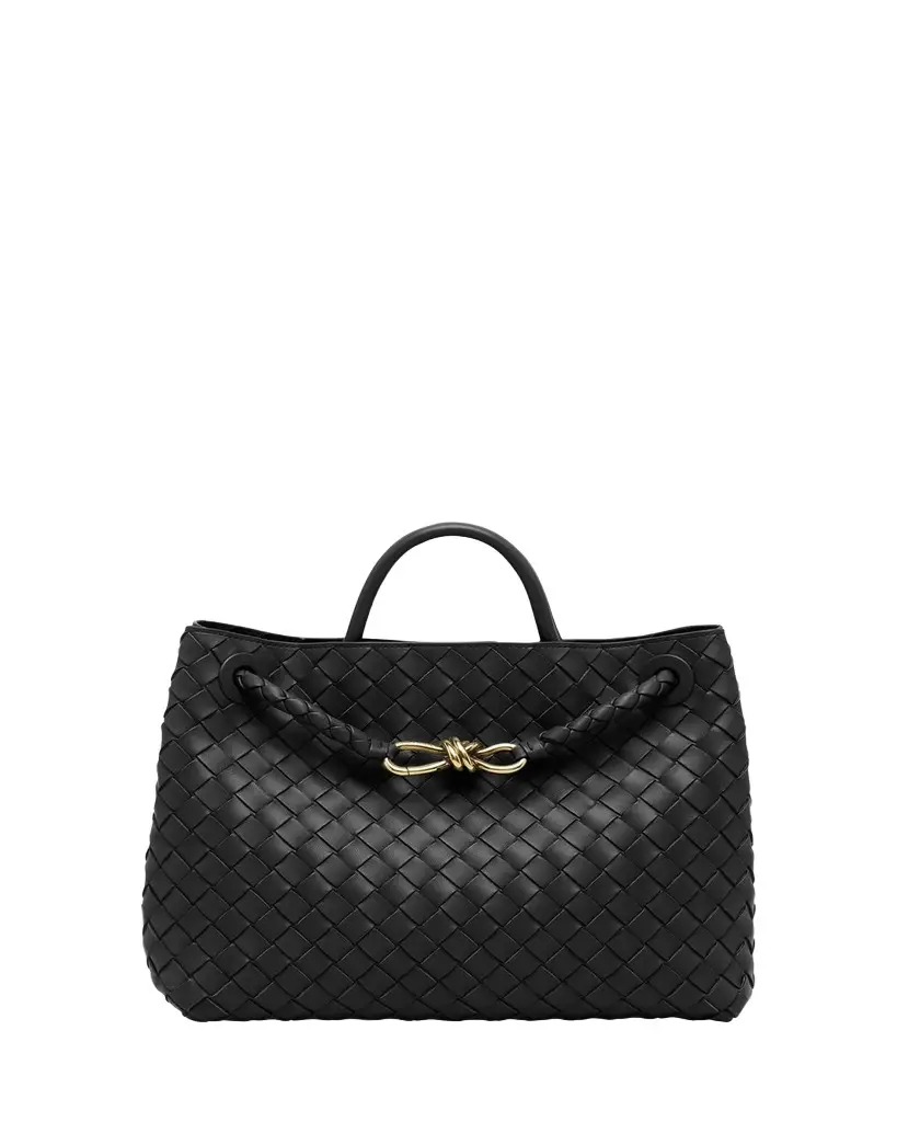 Bottega Veneta Andiamo Medium Top-Handle Bag | Image 1 Bottega Veneta Andiamo Medium Top-Handle Bag | Image 1