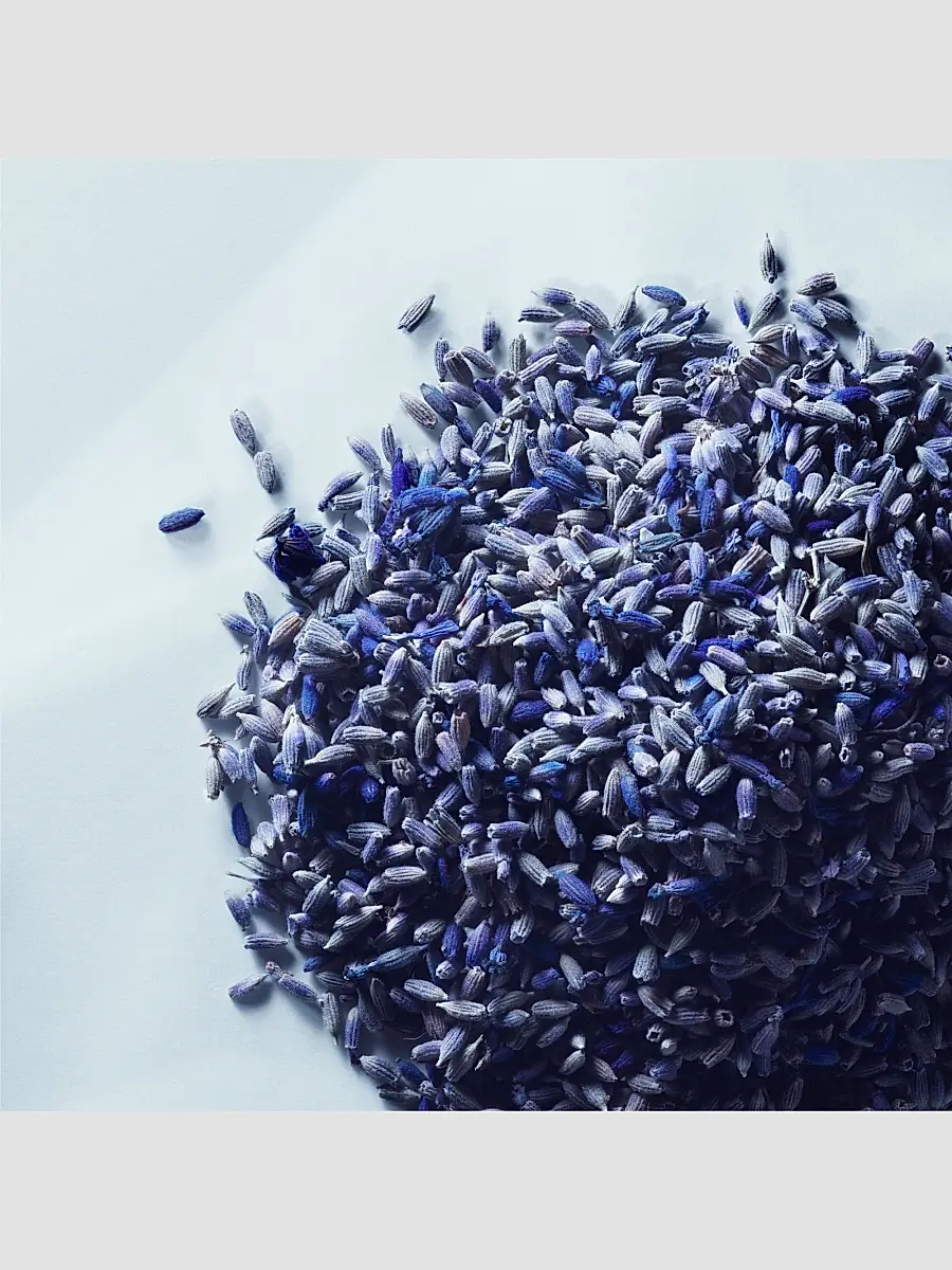 Matiere Premiere Metal Lavender Eau De Parfum | Thumbnail 3 Matiere Premiere Metal Lavender Eau De Parfum | Thumbnail 3