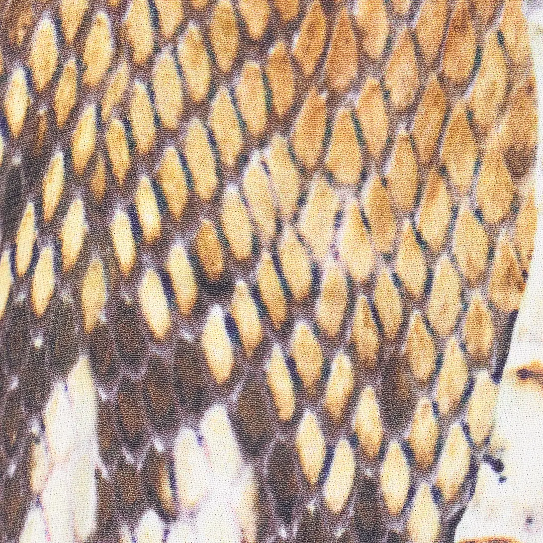 Roberto Cavalli Python Print T-shirt | Thumbnail 4 Roberto Cavalli Python Print T-shirt | Thumbnail 4