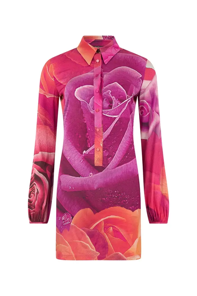 Roberto Cavalli Mini Dress With Garden Rose Print