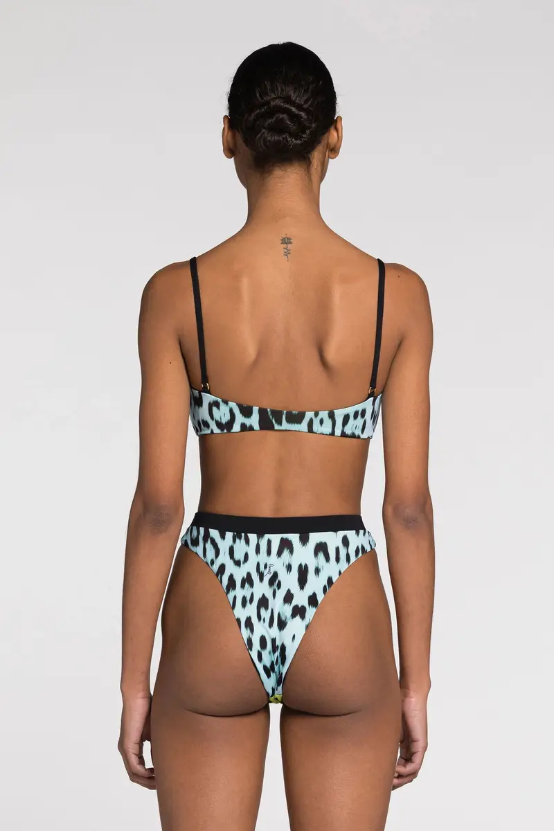 Roberto Cavalli Leopard-print bikini bottoms | Thumbnail 4