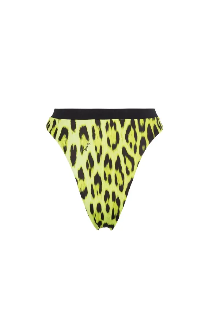Roberto Cavalli Leopard-print bikini bottoms