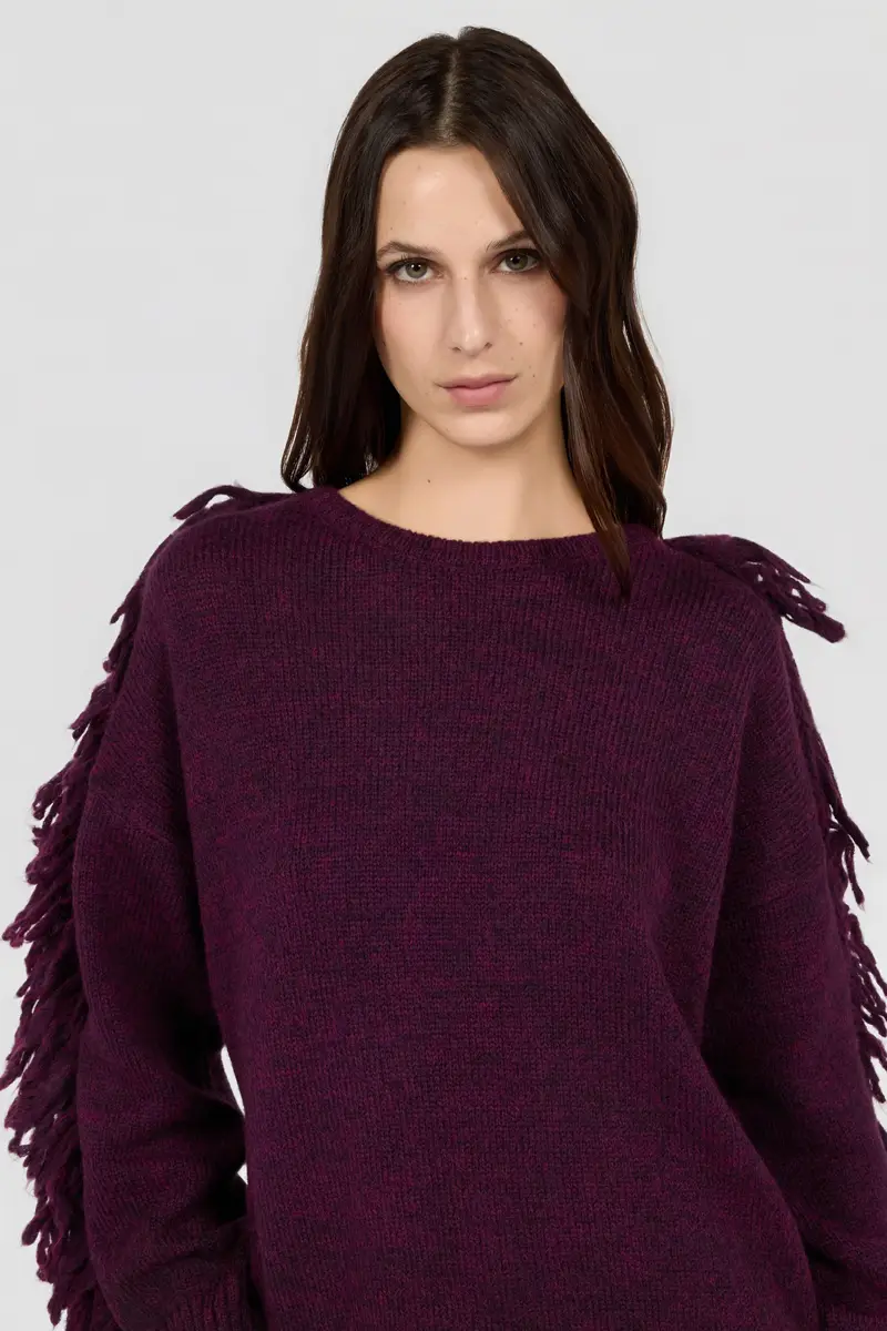 Roberto Cavalli Burgundy Sweater | Thumbnail 4 Roberto Cavalli Burgundy Sweater | Thumbnail 4