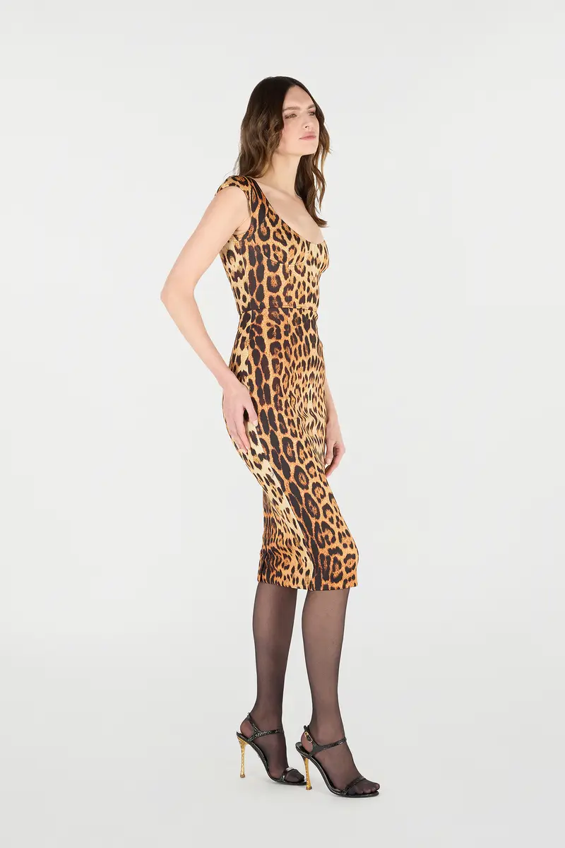 Roberto Cavalli Midi Dress With Jaguar Skin Print | Thumbnail 2