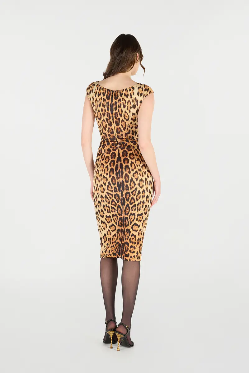 Roberto Cavalli Midi Dress With Jaguar Skin Print | Thumbnail 3