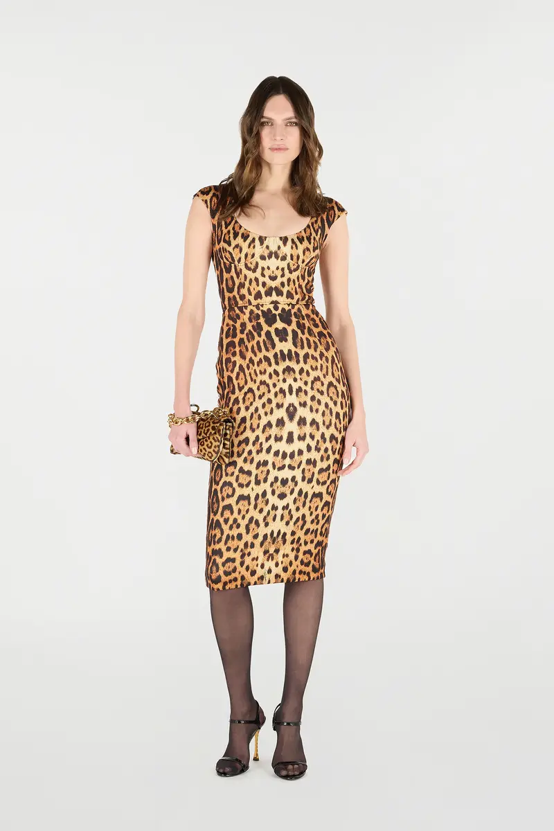 Roberto Cavalli Midi Dress With Jaguar Skin Print | Thumbnail 6