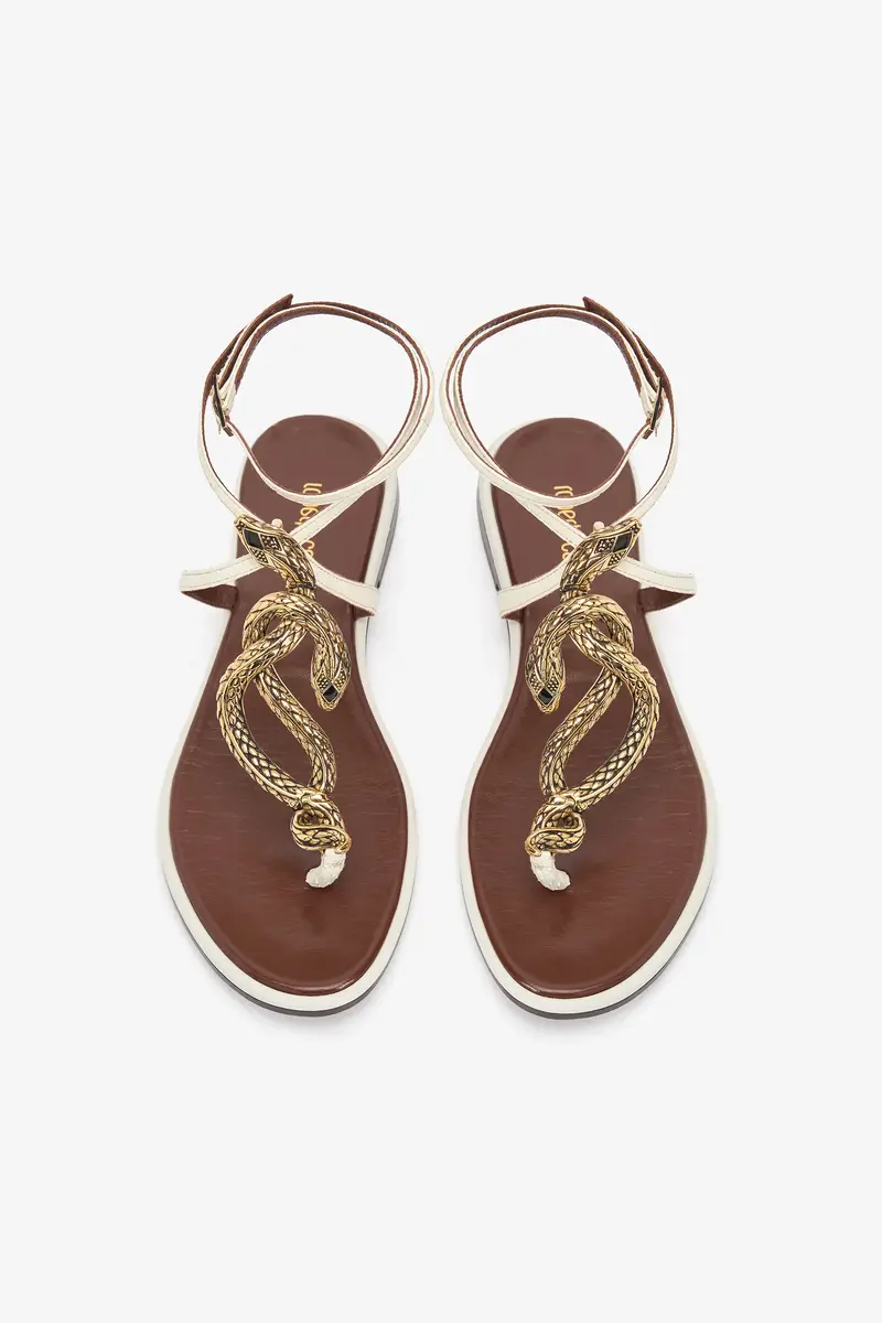 Roberto Cavalli Brown and White Flat Thong Sandals with Snake Motif | Thumbnail 6