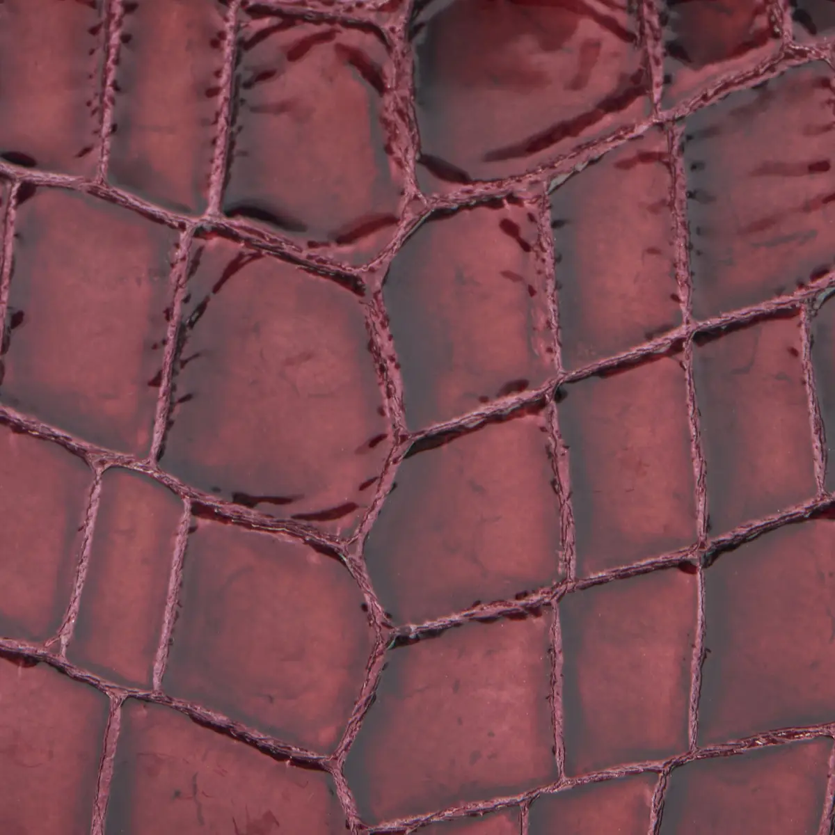 Roberto Cavalli Crocodile-Print Roar Bag | Thumbnail 4 Roberto Cavalli Crocodile-Print Roar Bag | Thumbnail 4
