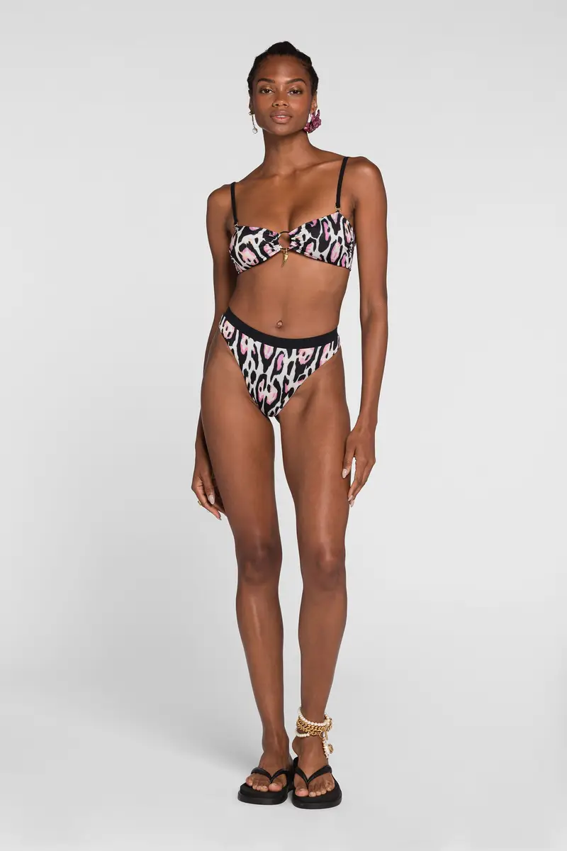 Roberto Cavalli Jaguar-print bikini bottoms | Thumbnail 2