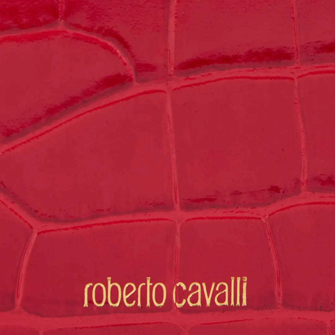 Roberto Cavalli Roar Mini bag in Leather | Thumbnail 4
